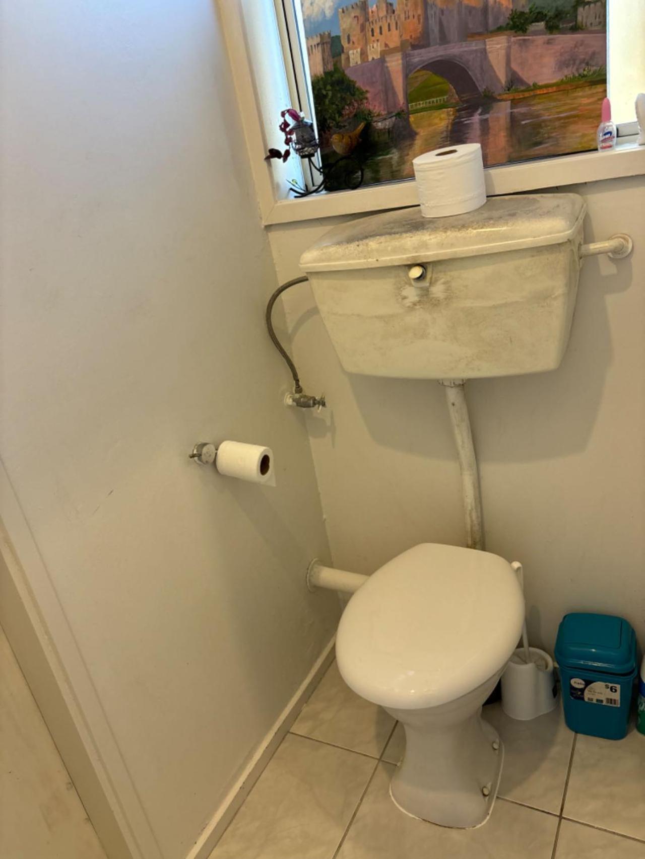 הוילה אוקלנד Epsom Red House מראה חיצוני תמונה