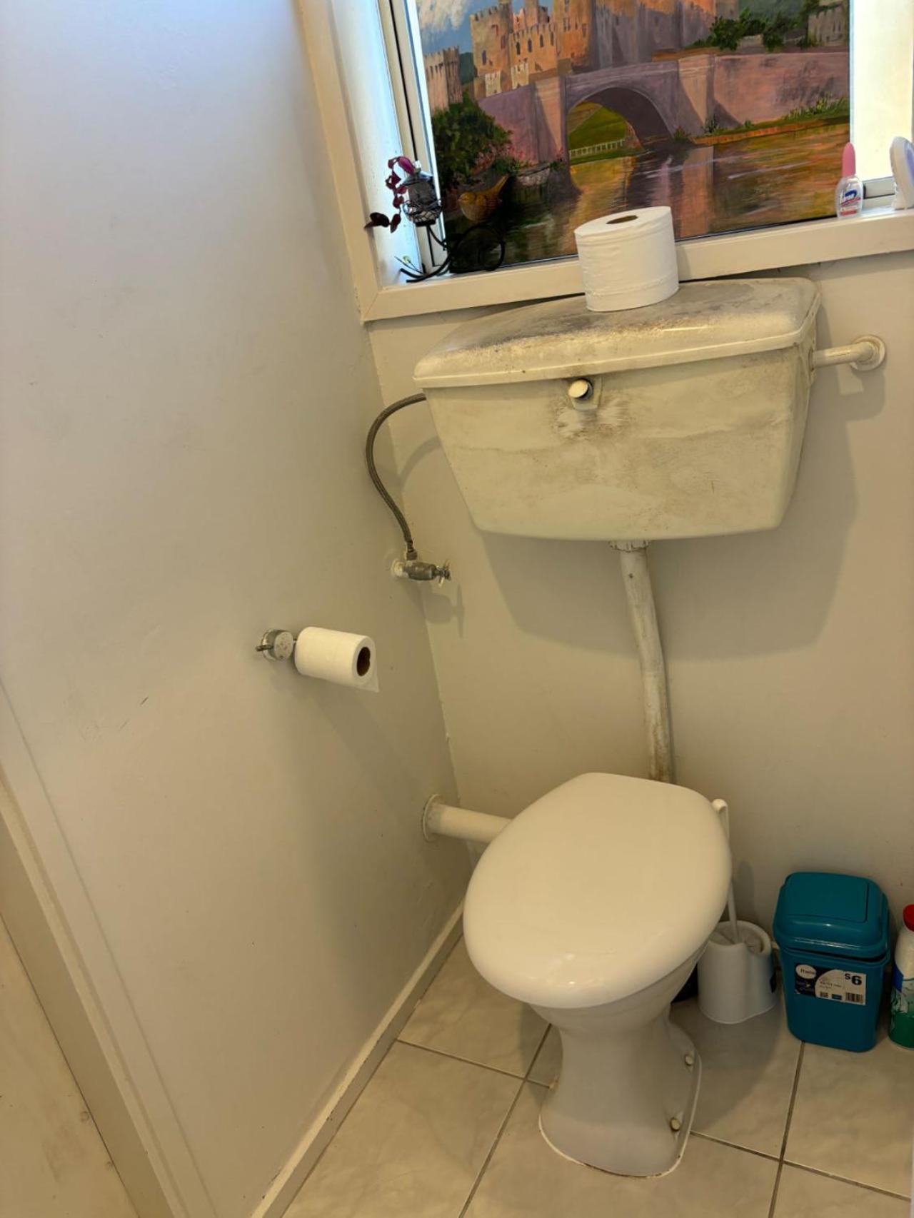 הוילה אוקלנד Epsom Red House מראה חיצוני תמונה